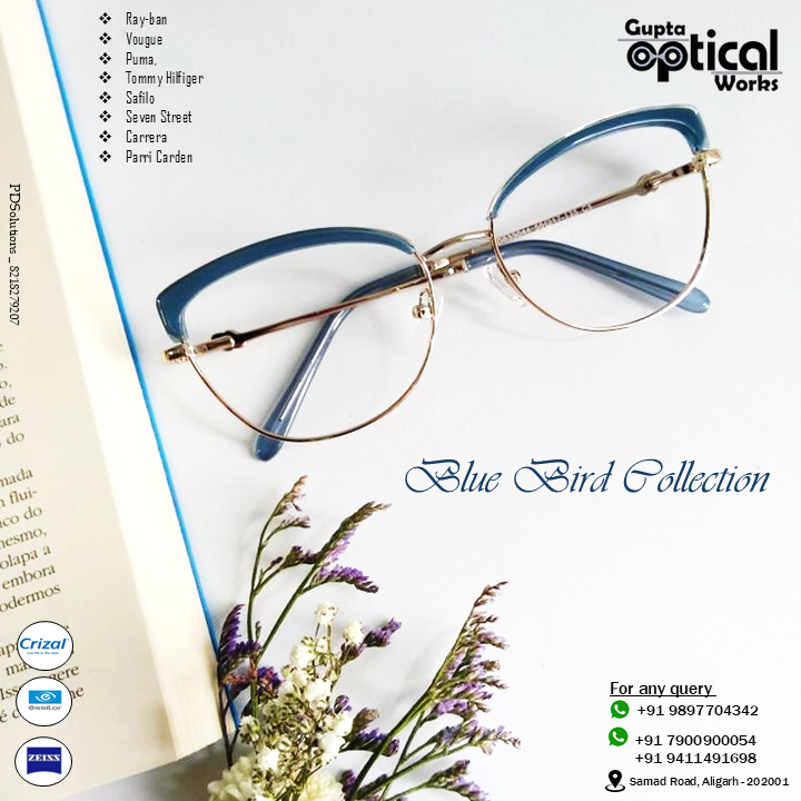 work_1763313442_e6737f5fbdee1bdd